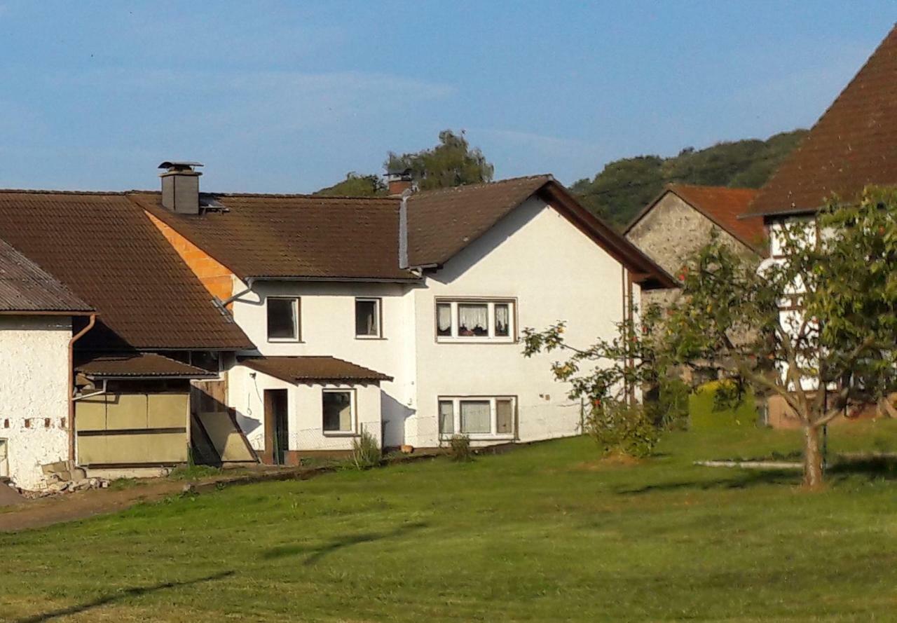 Ferienwohnung Auf Dem Pferdehof Schotten Exterior foto
